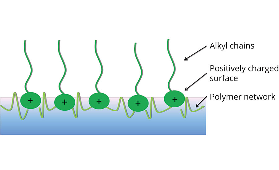 MyCroFence active antimicrobial surface coating concept