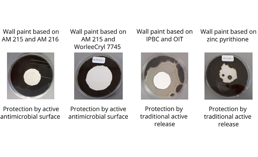 Pictures of the efficacy test