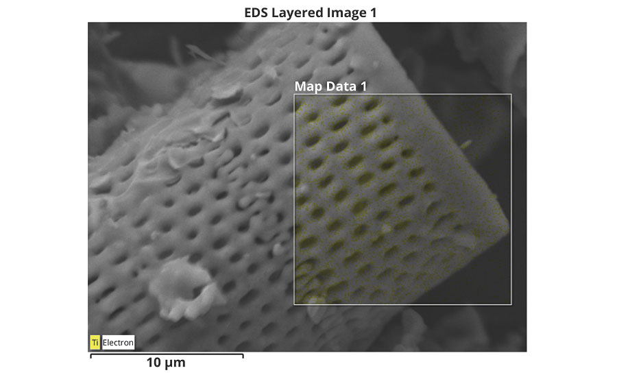 Scanning electron microscopy (SEM) of diatoms with energy-dispersive X-ray spectroscopy of photocatalyst particles decorating the biosilica diatom