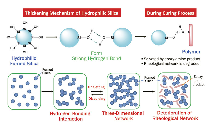 Solvation effect of hydrophilic fumed silica