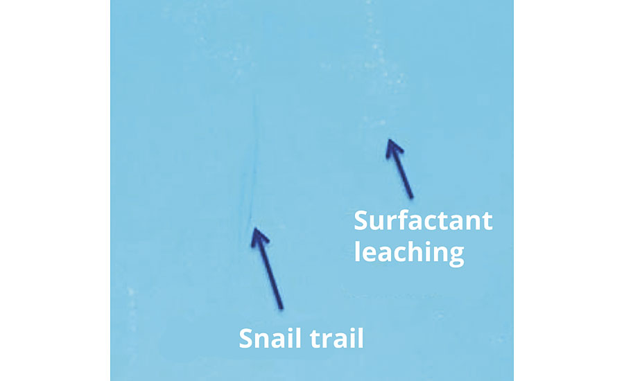 Snail trail and staining due to surfactant leaching on a 20% PVC paint based on NaDPDS after water exposure