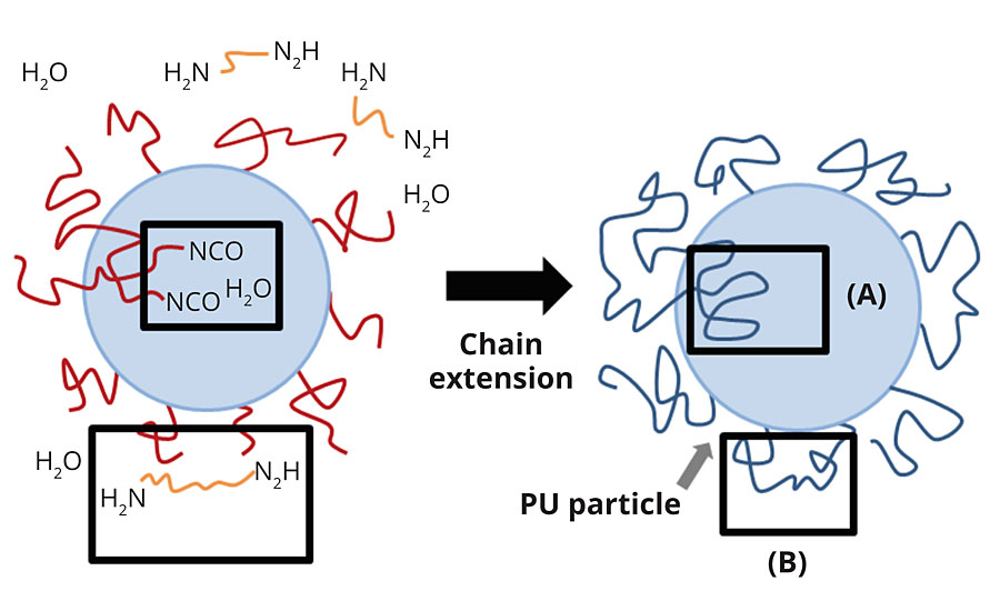 PUD particle model proposed by Jhon et al. (2001). There are different NCO locations on particle surfaces (B) or inside particles (A) where the chain extenders or water need time to penetrate and react with NCO