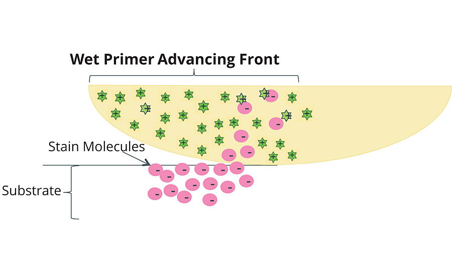 Depiction of cationic ZnO (green) reacting with anionic stains (pink)