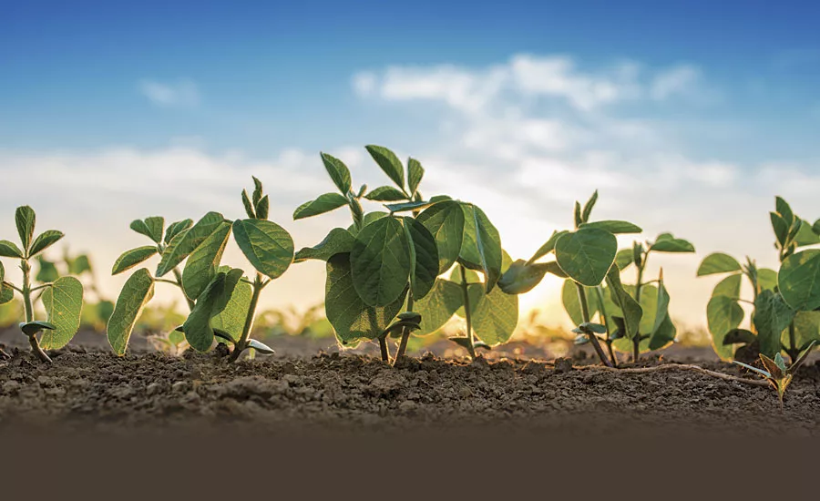 Sustainability: Shifting from Buzzword to Profit Driver