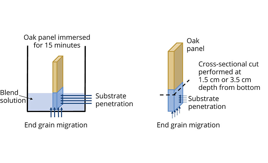 Set-up for wood penetration