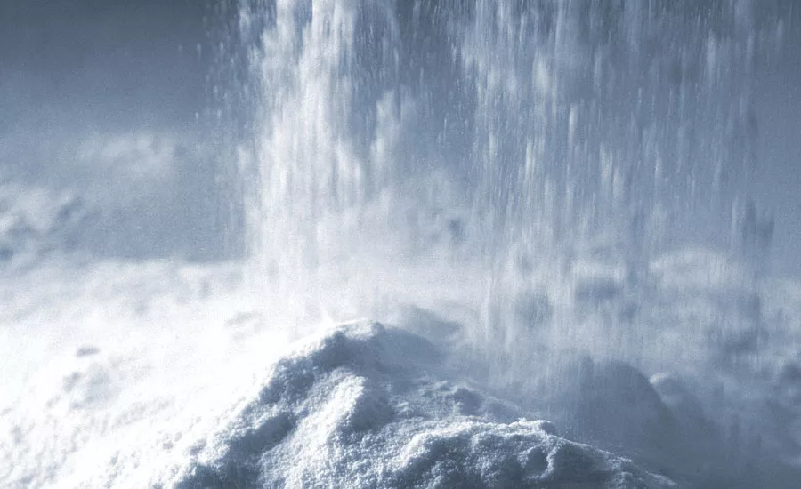 Dispersible Polymer Powders for Biocide-Free Wall Paints