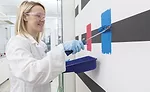 Dispersible Polymer Powders for Biocide-Free Wall Paints