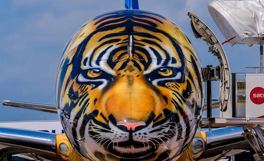 Aircraft Maker Goes Wild with Aerospace Coatings