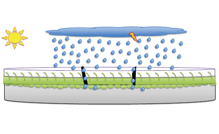 Representation of a concrete substrate (gray) + conventional sealant (green) + coating (white): improvement of coating adhesion; however, in case of adhesion deficiency of the coating + surface sealer, there is vulnerability of the substrate.