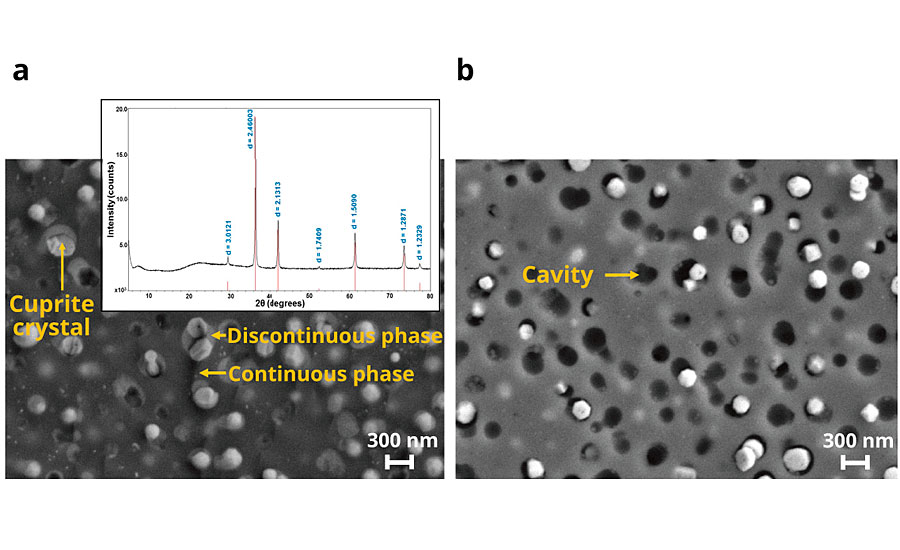 Scanning electron microscope (SEM) images of copper-glass ceramic cross-section before and after exposure to water