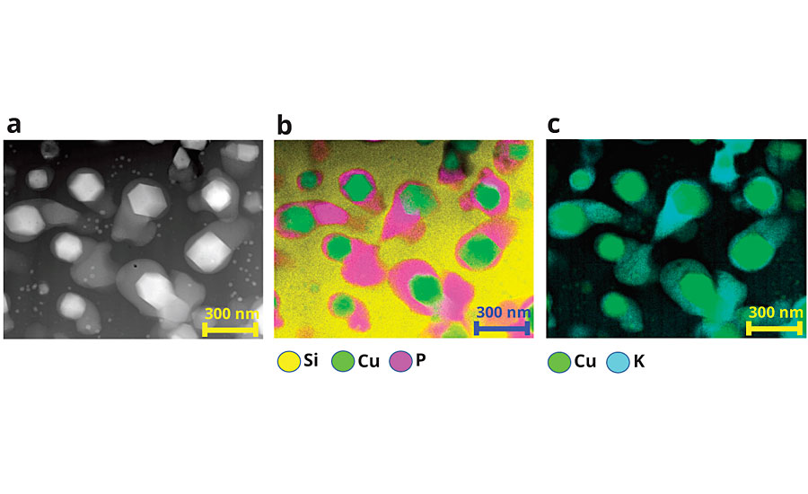 Energy-dispersive X-ray spectroscopy (EDS) using a scanning transmission electron microscope was used for elemental mapping