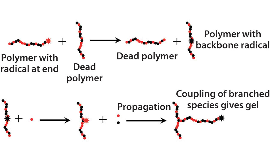 Chain transfer to polymer leading to branching and possible gel formation.