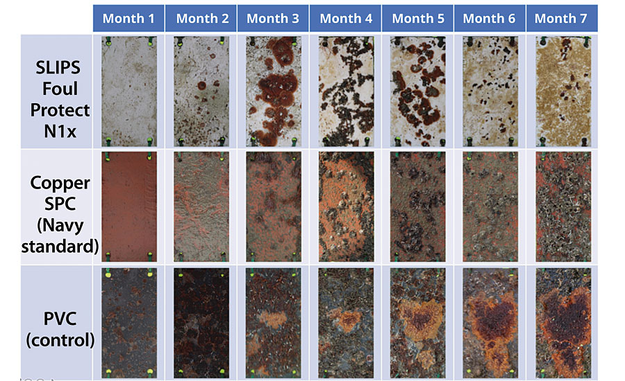 A snapshot of a seven-month static field test carried out in Port Canaveral, FL.