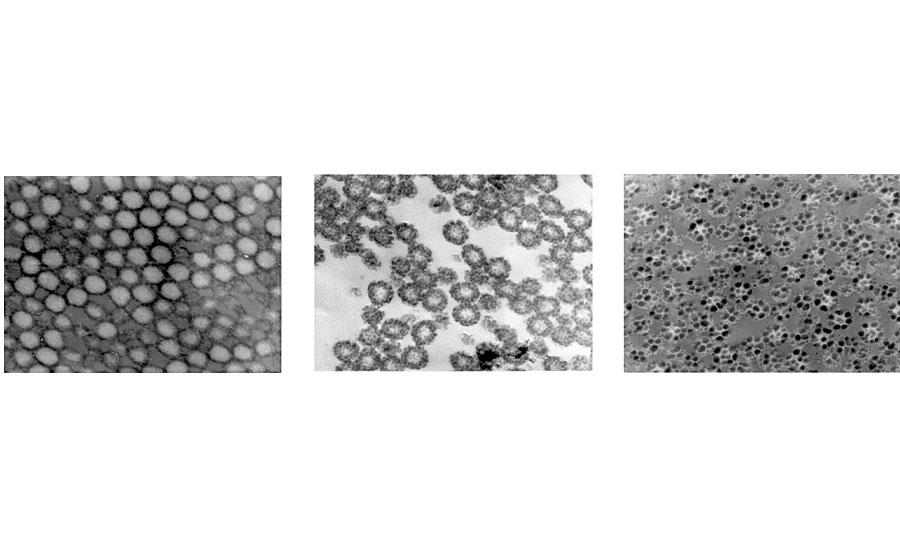 an example of the effect of reaction condition changes upon the latex particle structure, here shown as transmission electron micrographs for styrene/acrylic latex particles
