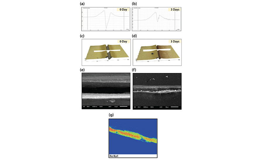 (a) Profile analysis of the control coating system immediately after damage. (b) Profile analysis of the control coating system three days after damage. (c) Three-dimensional representation of the profile analysis of the control coating system immediately after damage. (d) Three-dimensional representation of the profile analysis of the control coating system three days after damage. (e) SEM micrograph of the control coating system immediately after damage. (f) SEM micrograph of the control coating system three days after damage. (g) EDX elemental mapping of Fe on the substrate of the control coating system immediately after damage.