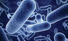 A Guide to Antimicrobial Coatings