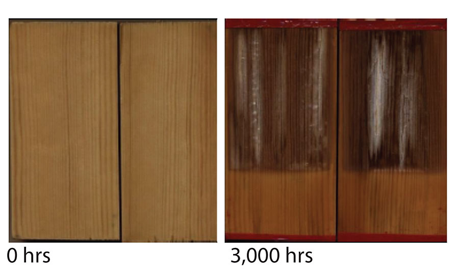 Non-stabilized alkyd formulation before and after 3,000 hrs of exposure.