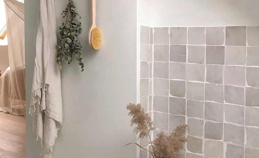 An Alternative to Titanium Dioxide in White Paint