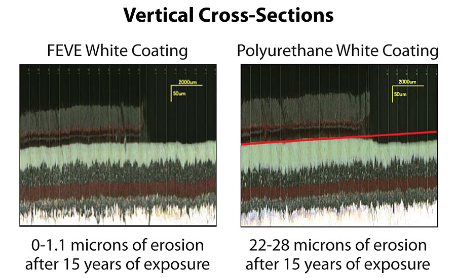 Visible light photomicrographs.