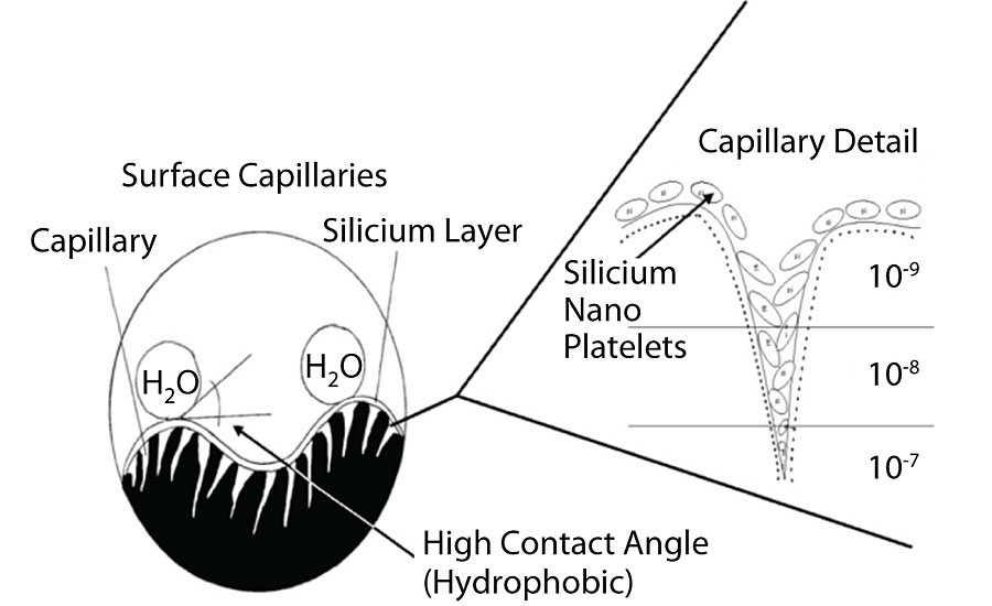 Illustration of a capillary structure.