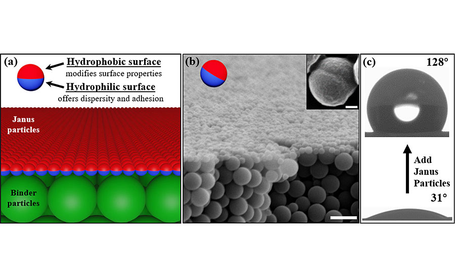 Schematic diagram for the coating structures; b) SEM image of the cross-section view of coating structures. Scale bar is 2 μm. Inset shows the asymmetric morphology of a typical Janus particle. Scalebar is 100 nm; c) Contact angles of the coating surface before and after adding the Janus particles.