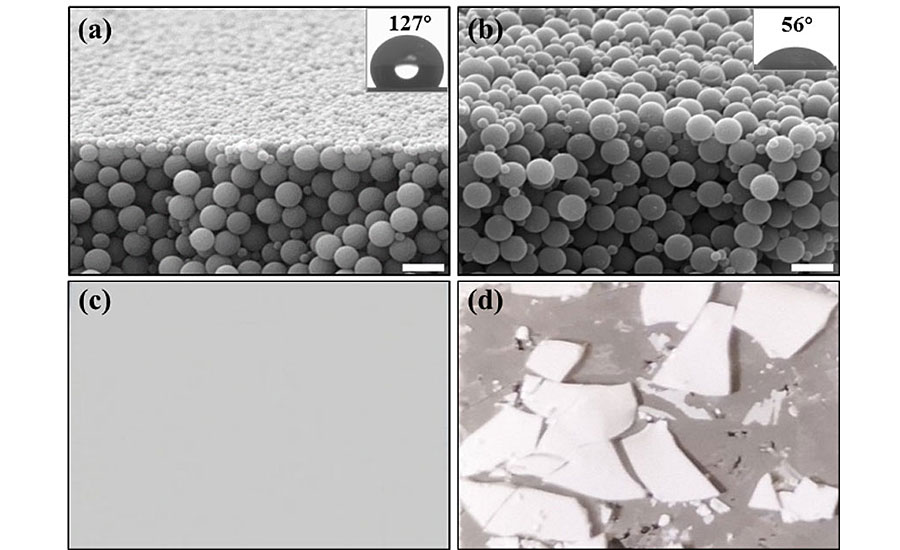 SEM images and photos of the dried coating films after rinsing: a) films formed with Janus particles; b) films with hydrophobic particles; c) Photo of the coating film added with Janus particles after rinse; d) Photo of the coating film added with homogeneous particles after rinse. Scale bars are all 2μm.