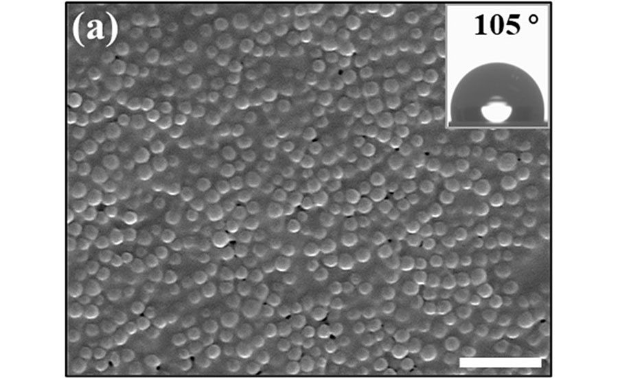 SEM images of coating films formed by commercial primer binder added with Janus particles. Scale bar is 2 μm.