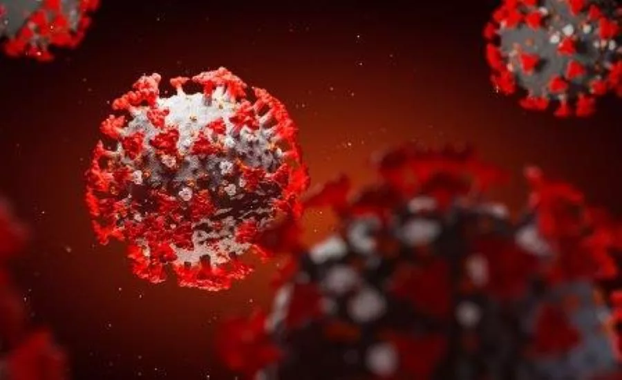 Antiviral Coatings in Covid Times