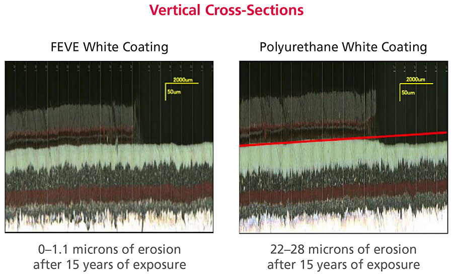 Visible light photomicrographs.