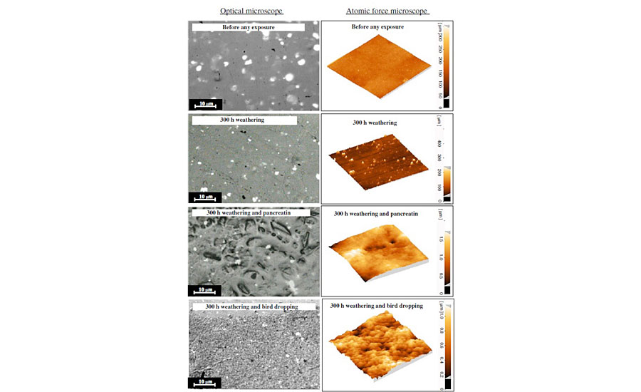 Optical and AFM images of the clearcoat surface before and after exposure to various conditions.