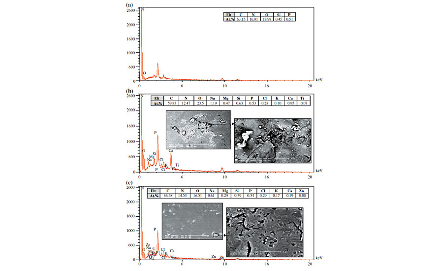 EDS spectra of (a) intact and degraded areas caused by (b) bird dropping, (c) pancreatin.