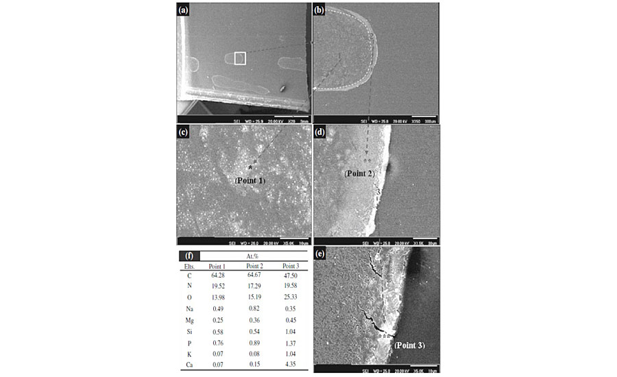 SEM images and EDS analysis of different points of degraded areas.
