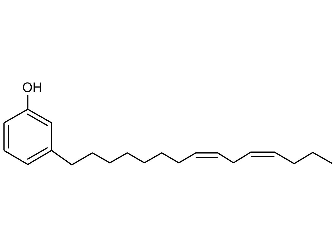 Average Cardanol structure.