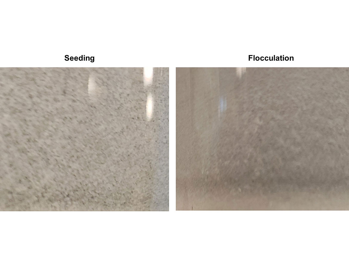 Flocculation and seeding in a coating.