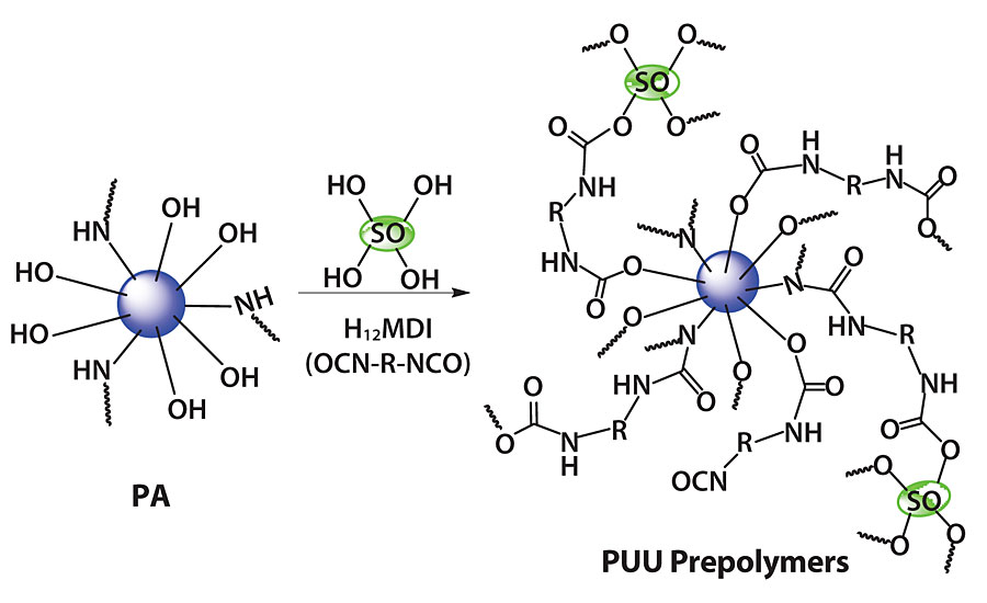 Development of polyaspartic prepolymer (PUU prepolymers).