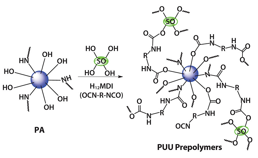 Development of polyaspartic prepolymer (PUU prepolymers).