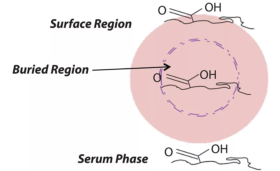 Where the Acid Copolymer Is Located in the Latex Particle?