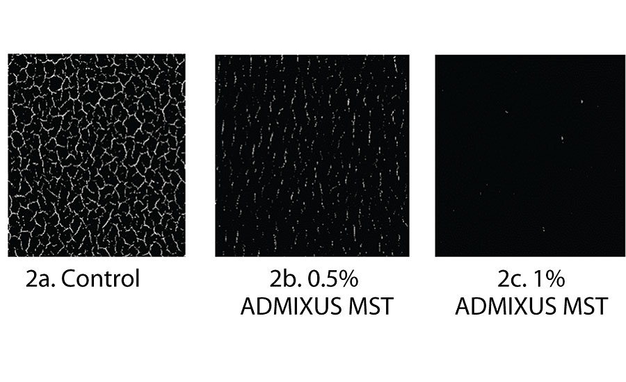 Digital photograph shows different amounts of cracking due to poor film formation. 