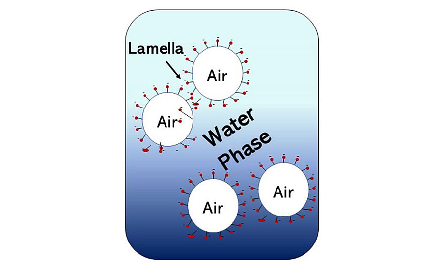 Lamella stabilization in a liquid.