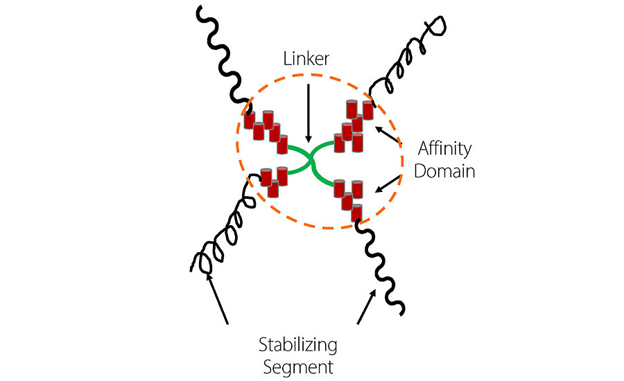 Generic structure of Stepan’s high-performance polymeric dispersant.