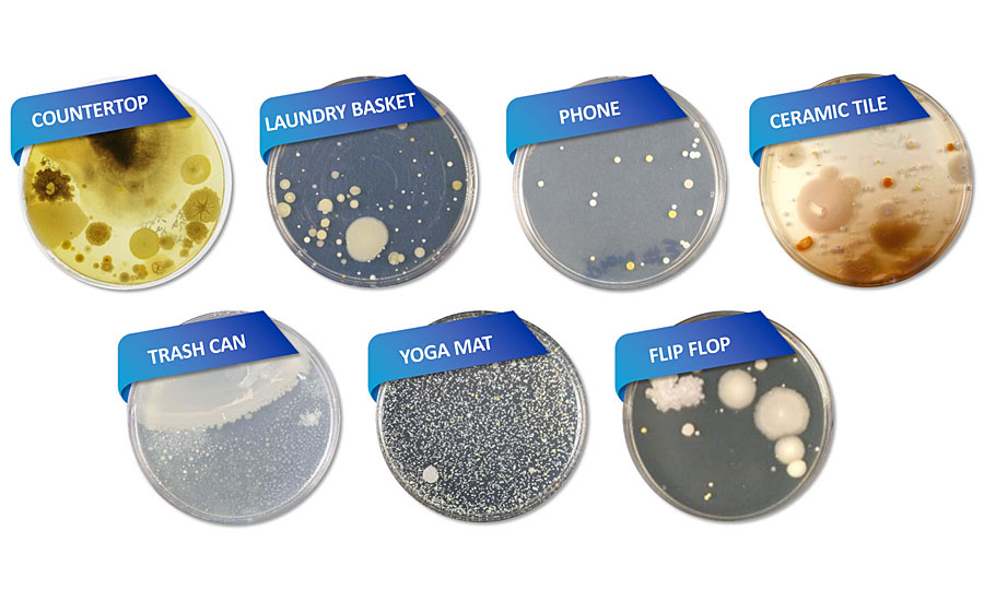 Examples of surfaces that are susceptible to microbial growth.