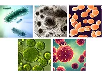 pci1121-Microban-Lead-1170.jpg pci1121-Microban-Lead-1170.jpg