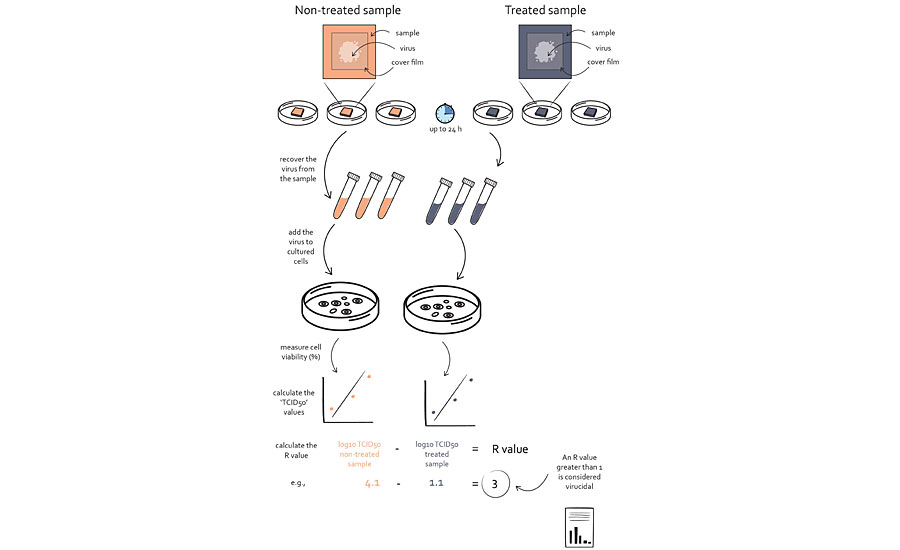 Schematic presentation of the method used to evaluate virucidal activity.<sup>5</sup>