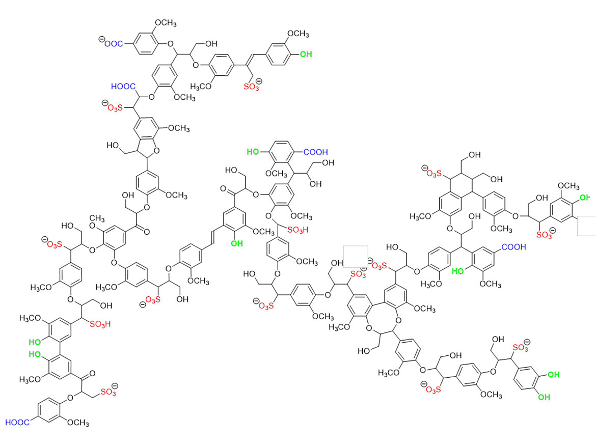 Representation of the lignosulfonate structure.