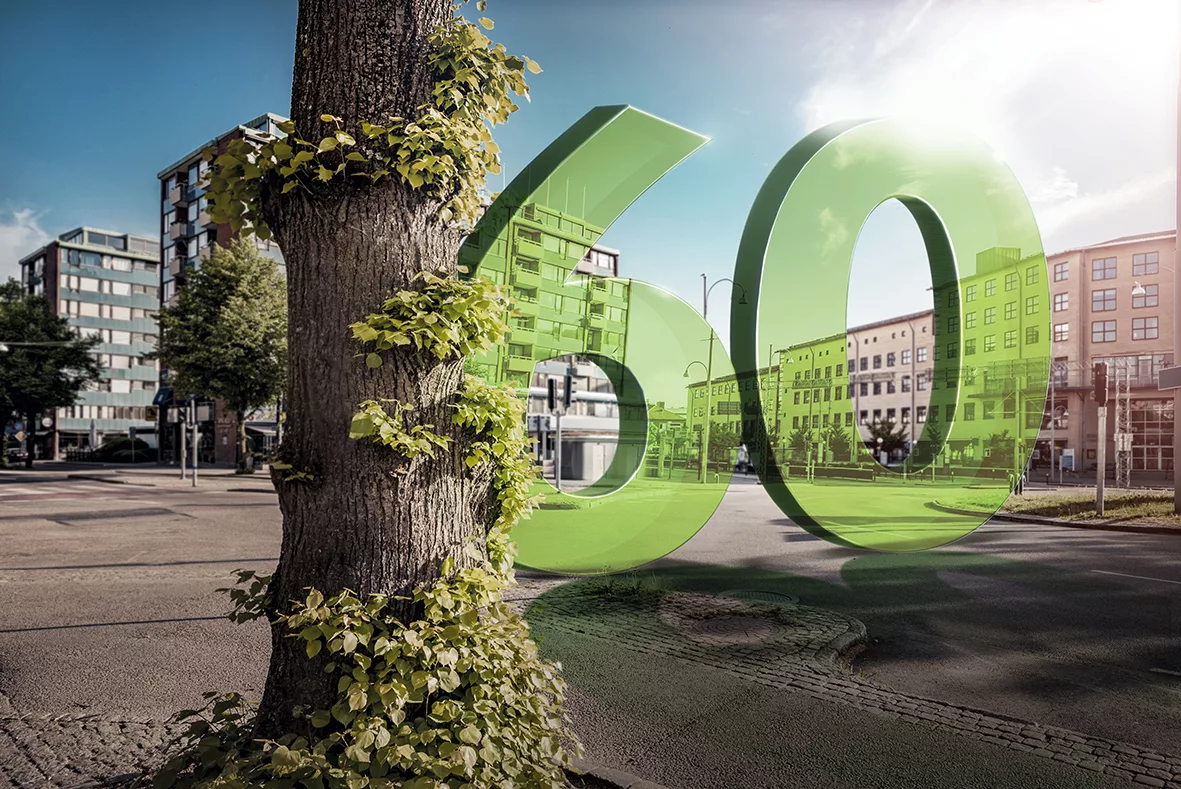 Isophorone Chemistry