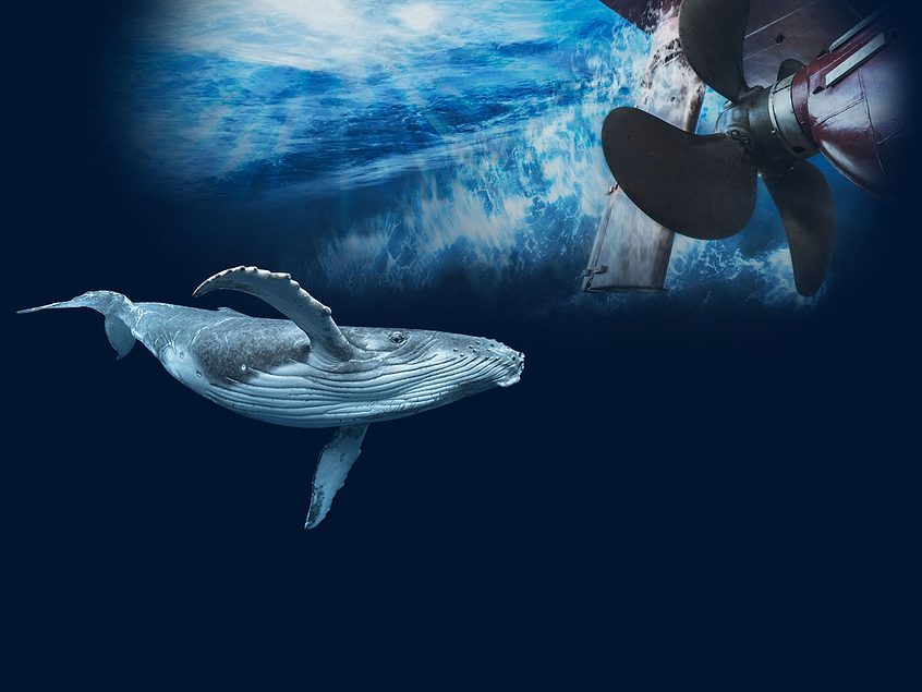 Using Paint to Reduce Underwater Noise for the Shipping Industry | 2022 ...
