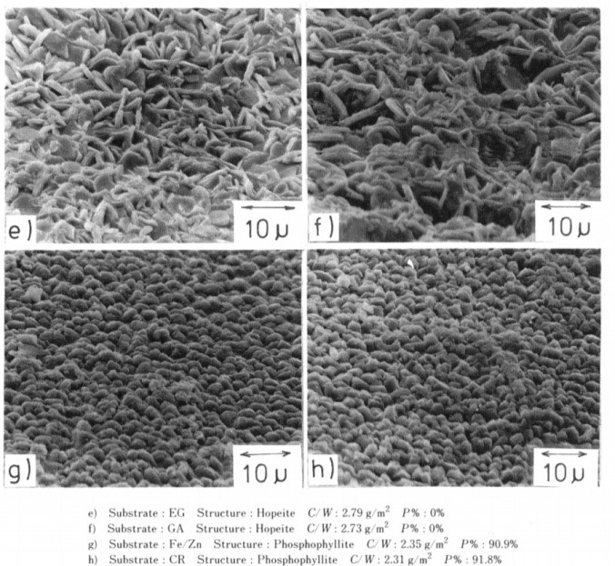 SEM micrographs of various steel sheets after zinc phosphating.