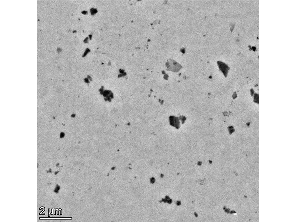 Diatom particles in polish utilizing TEM.