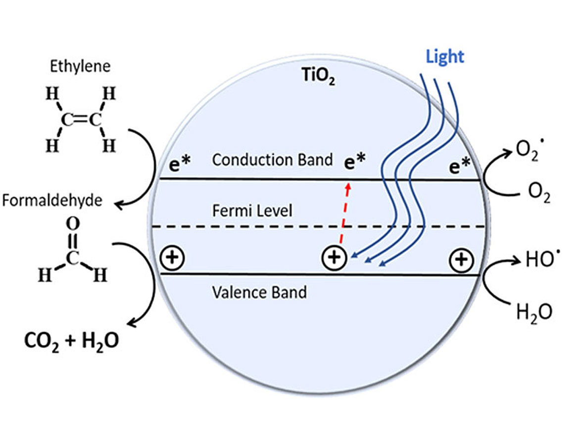 Photocatalytic degradation mechanism.