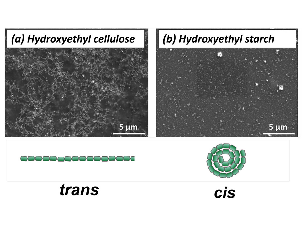 SEM micrographs of the aggregation patterns formed by the ZnO nanoparticles with binder polymers and their corresponding molecular structures: (a) HEC and (b) HES. Scale bar is 5 µm.